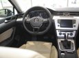 Volkswagen Passat 1.8 Bluemotion 2017 - Bán Volkswagen Passat 1.8 Bluemotion 2017, màu xám, nhập khẩu