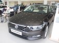 Volkswagen Passat 1.8 Bluemotion 2017 - Bán Volkswagen Passat 1.8 Bluemotion 2017, màu xám, nhập khẩu