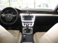 Volkswagen Passat 1.8 Bluemotion 2017 - Bán Volkswagen Passat 1.8 Bluemotion 2017, màu xám, nhập khẩu