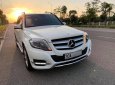 Mercedes-Benz GLK Class GLK 250 AMG 2014 - Cần bán Mercedes AMG sản xuất năm 2014, màu trắng, xe nhập