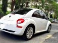 Volkswagen New Beetle 2.0 AT 2005 - Bán xe Volkswagen New Beetle 2.0 AT sản xuất 2005, màu trắng, nhập khẩu, giá 154tr