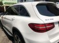 Mercedes-Benz GLC-Class AT 2017 - Cần bán lại xe Mercedes AT sản xuất năm 2017, màu trắng, nhập khẩu