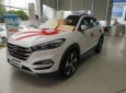 Hyundai Tucson   2.0AT  2018 - Bán Hyundai Tucson 2.0AT, máy xăng - Giao ngay