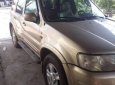 Ford Escape AT 2002 - Cần bán Ford Escape AT đời 2002, màu vàng, 160tr