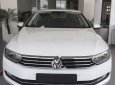 Volkswagen Passat 1.8 Bluemotion 2017 - Bán Volkswagen Passat 1.8 Bluemotion 2017, màu trắng, nhập khẩu