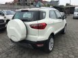 Ford EcoSport  Titanium 1.5L AT 2018 - Cần bán Ford EcoSport Titanium 1.5L AT 2018, màu trắng, xe sẵn, mới 100%, tặng gói phụ kiện hấp hẫn, vay 90% giá xe