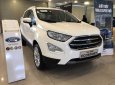 Ford EcoSport  Titanium 1.0L AT 2018 - Bán Ford EcoSport Titanium 1.0L AT, 2018, màu trắng, tặng bảo hiểm thân vỏ, hỗ trợ vay 90% giá xe, thủ tục nhanh gọn