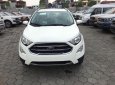 Ford EcoSport  Titanium 1.5L AT 2018 - Cần bán Ford EcoSport Titanium 1.5L AT 2018, màu trắng, xe sẵn, mới 100%, tặng gói phụ kiện hấp hẫn, vay 90% giá xe