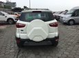 Ford EcoSport  Titanium 1.5L AT 2018 - Cần bán Ford EcoSport Titanium 1.5L AT 2018, màu trắng, xe sẵn, mới 100%, tặng gói phụ kiện hấp hẫn, vay 90% giá xe