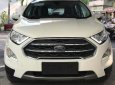 Ford EcoSport  Titanium 1.0L AT 2018 - Bán Ford EcoSport Titanium 1.0L AT, 2018, màu trắng, tặng bảo hiểm thân vỏ, hỗ trợ vay 90% giá xe, thủ tục nhanh gọn