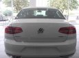 Volkswagen Passat 1.8 Bluemotion 2017 - Bán Volkswagen Passat 1.8 Bluemotion 2017, màu trắng, nhập khẩu