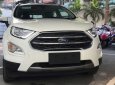 Ford EcoSport  Titanium 1.0L AT 2018 - Bán Ford EcoSport Titanium 1.0L AT, 2018, màu trắng, tặng bảo hiểm thân vỏ, hỗ trợ vay 90% giá xe, thủ tục nhanh gọn