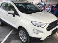 Ford EcoSport  Titanium 1.0L AT 2018 - Bán Ford EcoSport Titanium 1.0L AT, 2018, màu trắng, tặng bảo hiểm thân vỏ, hỗ trợ vay 90% giá xe, thủ tục nhanh gọn