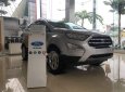 Ford EcoSport     2018 - Bán Ford EcoSport sản xuất năm 2018, màu bạc