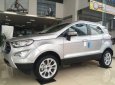 Ford EcoSport     2018 - Bán Ford EcoSport sản xuất năm 2018, màu bạc