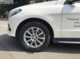 Mercedes-Benz GLE-Class  GLE400 2016 - Bán xe Mercedes GLE400 đời 2016, màu trắng, nhập khẩu  