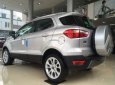 Ford EcoSport     2018 - Bán Ford EcoSport sản xuất năm 2018, màu bạc