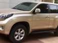 Toyota Prado Txl 2010 - Bán Toyota Prado TXL sản xuất 2010, màu ghi vàng, nhập khẩu nguyên chiếc