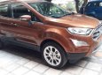 Ford EcoSport 2018 - Cần bán xe Ford EcoSport đời 2018, màu nâu, giá tốt 