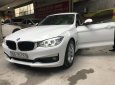 BMW 3 Series 320i GT 2014 - Bán BMW 3 Series 320i GT sản xuất 2014, màu trắng, nhập khẩu