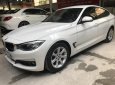 BMW 3 Series 320i GT 2014 - Bán BMW 3 Series 320i GT sản xuất 2014, màu trắng, nhập khẩu