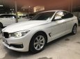 BMW 3 Series 320i GT 2014 - Bán BMW 3 Series 320i GT sản xuất 2014, màu trắng, nhập khẩu