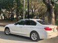 BMW 3 Series 320i 2017 - Bán ô tô BMW 3 Series 320i sản xuất 2017, màu trắng, nhập khẩu