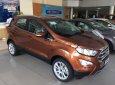 Ford EcoSport Titanium 1.5L AT 2018 - Bán Ford EcoSport Titanium 1.5L AT đời 2018, giá chỉ 625 triệu