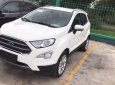 Ford EcoSport 2018 - Bán xe Ecosport giao ngay, giá thấp nhất thị trường, ưu đãi ngân hàng