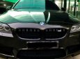 BMW 5 Series 528i 2010 - Chính chủ cần bán BMW 5 Series 528i sản xuất năm 2010, màu đen