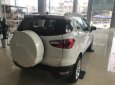 Ford EcoSport Titanium 1.5L AT 2018 - Bán Ford EcoSport Titanium 1.5 năm 2018, màu trắng tại Ninh Bình, LH 0987987588
