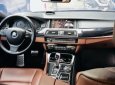 BMW 5 Series 528i 2010 - Chính chủ cần bán BMW 5 Series 528i sản xuất năm 2010, màu đen