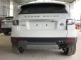 LandRover Evoque HSE  2018 - New xe giao ngay Range Rover HSE 2018 Evoque màu xanh lục, màu trắng, màu đen 0932222253