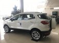 Ford EcoSport Titanium 1.5L AT 2018 - Bán Ford EcoSport Titanium 1.5 năm 2018, màu trắng tại Ninh Bình, LH 0989.022.295
