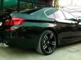 BMW 5 Series 528i 2010 - Chính chủ cần bán BMW 5 Series 528i sản xuất năm 2010, màu đen