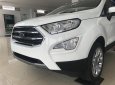 Ford EcoSport Titanium 1.5L AT 2018 - Bán Ford EcoSport Titanium 1.5 năm 2018, màu trắng tại Ninh Bình, LH 0989.022.295