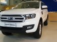 Ford Everest 2018 - Bán Ford Everest 2018, một vẻ đẹp cứng cáp nhưng không quá dữ dằn LH: 0901.979.357 - Hoàng