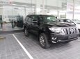 Toyota Prado 2018 - Bán Toyota Prado đời 2018, màu đen, nhập khẩu