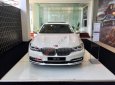 BMW 7 Series 730Li 2018 - Bán BMW 7 Series 730Li năm sản xuất 2018, màu trắng, nhập khẩu