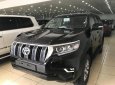 Toyota Prado VX 2018 - Bán Toyota Land Cruise Prado VX đời 2019, màu đen, xe và giấy tờ giao ngay, đăng ký trong ngày. LH: 0906223838