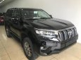 Toyota Prado VX 2018 - Bán Toyota Land Cruise Prado VX đời 2019, màu đen, xe và giấy tờ giao ngay, đăng ký trong ngày. LH: 0906223838