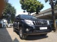 Toyota Prado TX.L 2012 - Cần bán xe Toyota Prado TX. L đời 2012, màu đen, nhập khẩu nguyên chiếc