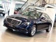 Mercedes-Benz E class E200 2018 - Giá xe Mercedes E200 model 2019 tốt nhất thị trường