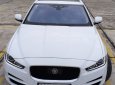 Jaguar XE 2015 - Cần bán gấp Jaguar XE năm 2015, màu trắng, nhập khẩu