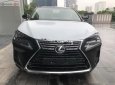 Lexus NX 300 2018 - Bán Lexus NX 300 năm sản xuất 2018, màu đen, xe nhập