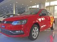 Volkswagen Polo 2018 - Bán Volkswagen Polo Hatchback nhập khẩu nguyên chiếc