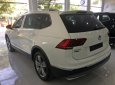 Volkswagen Tiguan Allspace 2018 - Bán xe Volkswagen Tiguan Allspace nhập khẩu nguyên chiếc