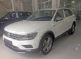 Volkswagen Tiguan Allspace 2018 - Bán xe Volkswagen Tiguan Allspace nhập khẩu nguyên chiếc