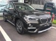 BMW X1 sDrive18i 2018 - Bán xe BMW X1 sDrive18i năm 2018, màu nâu, nhập khẩu