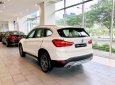 BMW X1  sDrive 2018 - BMW X1 nhập khẩu từ Đức, xe giao ngay, giá tốt nhất TP. HCM